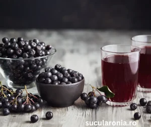 cura cu suc de aronia sucularonia.ro