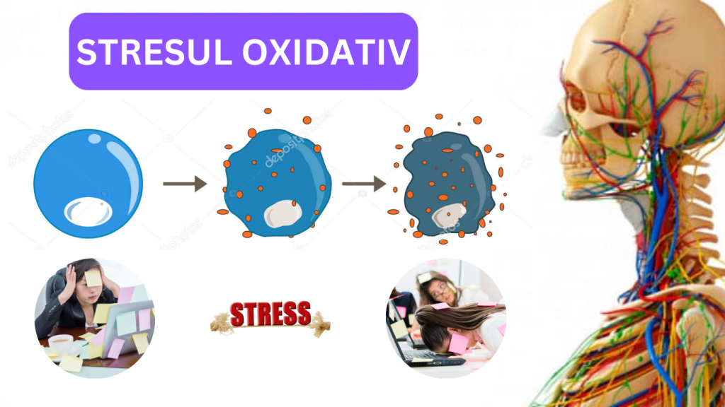 Protejarea impotriva stresului oxidativ